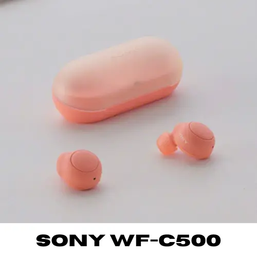 Sony WF C500