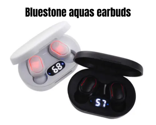 Bluestone aquas earbuds